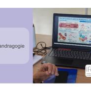 IA et andragogie