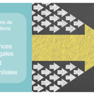 Itinéraire de formations 